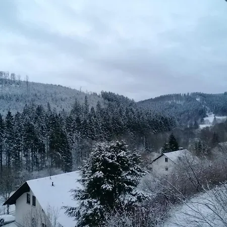 Wald-ausblick