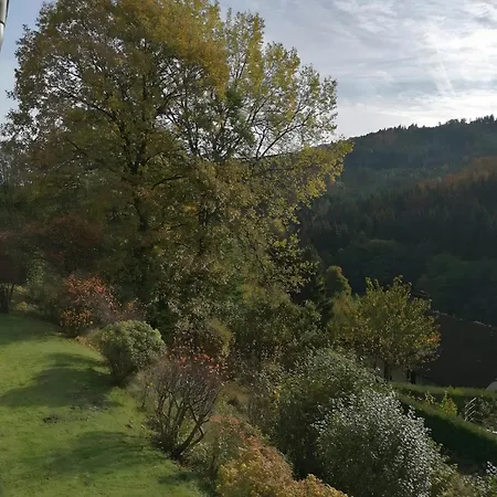 Wald-ausblick *